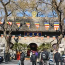 广济寺 - 北京旅游 缩略图 3