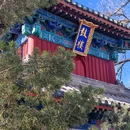 广济寺 - 北京旅游 缩略图 4