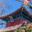 广济寺 - 北京旅游 缩略图 5