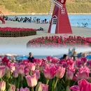 小梅沙沙滩 - 深圳市旅游 缩略图 1
