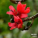 西安幸福林带 - 西安市旅游 缩略图 1