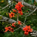西安幸福林带 - 西安市旅游 缩略图 2