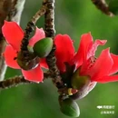 西安幸福林带 - 西安市旅游 缩略图 5