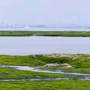 杏林湾绿道公园 - 厦门市旅游 缩略图 1