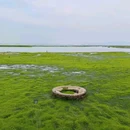 杏林湾绿道公园 - 厦门市旅游 缩略图 3