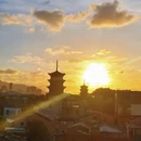 叁拾叁民宿(泉州西街开元寺店) - 泉州市旅游 缩略图 9
