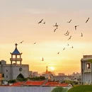 叁拾叁民宿(泉州西街开元寺店) - 泉州市旅游 缩略图 7