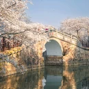 无锡太湖鼋头渚风景区 - 无锡市旅游 缩略图 1