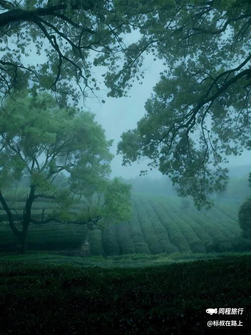 上茅家埠 - 杭州市旅游