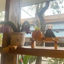 图南冰室(北滘店) - 佛山市旅游 缩略图 7