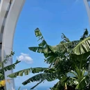 新加坡 - 海外旅游 缩略图 3