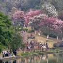 龙潭公园 - 柳州市旅游 缩略图 3