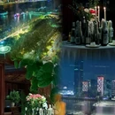 Bistro32F LeCoucou勒古古江景西餐厅(时代广场店) - 武汉市旅游 缩略图 4