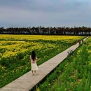蔡浜村 - 上海市旅游 缩略图 6