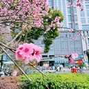 苏州站北广场-下沉广场 - 苏州旅游 缩略图 3
