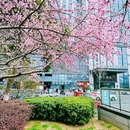 苏州站北广场-下沉广场 - 苏州旅游 缩略图 2