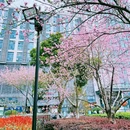 苏州站北广场-下沉广场 - 苏州旅游 缩略图 7