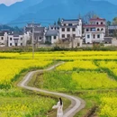 西递古村景区 - 黄山市旅游 缩略图 9