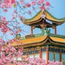 宝墨园景区 - 广州市旅游 缩略图 3
