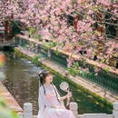 宝墨园景区 - 广州市旅游 缩略图 1
