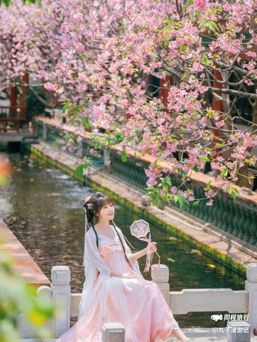 宝墨园景区 - 广州市旅游