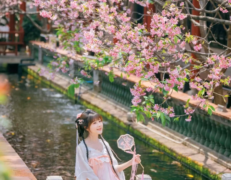 宝墨园景区 - 广州市旅游 1