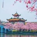 宝墨园景区 - 广州市旅游 缩略图 5
