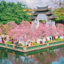 宝墨园景区 - 广州市旅游 缩略图 8