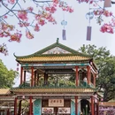 宝墨园景区 - 广州市旅游 缩略图 6