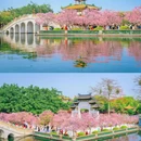 宝墨园景区 - 广州市旅游 缩略图 7