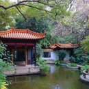 广州兰圃 - 广州市旅游 缩略图 8