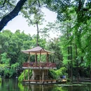 广州兰圃 - 广州市旅游 缩略图 7
