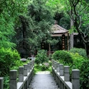 广州兰圃 - 广州市旅游 缩略图 6
