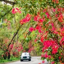 香山中街 - 深圳市旅游 缩略图 6