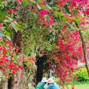 香山中街 - 深圳市旅游 缩略图 7