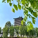 泰安溪美隐居酒店(泰山岱庙店) - 泰安市旅游 缩略图 2