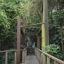 深圳市水土保持科技示范园 - 深圳市旅游 缩略图 7