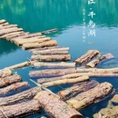 千岛湖风景区 - 杭州市旅游 缩略图 5