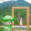 安吉黄杜村游客中心 - 湖州市旅游 缩略图 5