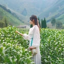 安吉黄杜村游客中心 - 湖州市旅游 缩略图 7