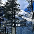 玉龙雪山国家级风景名胜区-云杉坪 - 丽江市旅游 缩略图 2