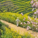篁岭景区 - 上饶市旅游 缩略图 3