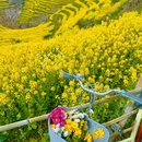 篁岭景区 - 上饶市旅游 缩略图 4