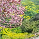 篁岭景区 - 上饶市旅游 缩略图 5