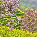 篁岭景区 - 上饶市旅游 缩略图 7