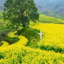 篁岭景区 - 上饶市旅游 缩略图 6