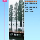 杭州旅游 缩略图 3