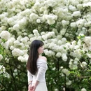 重庆铁山坪森林公园-花田觅香景区 - 重庆市旅游 缩略图 2