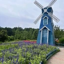 重庆铁山坪森林公园-花田觅香景区 - 重庆市旅游 缩略图 9