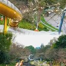 杭州少年儿童公园 - 杭州市旅游 缩略图 6